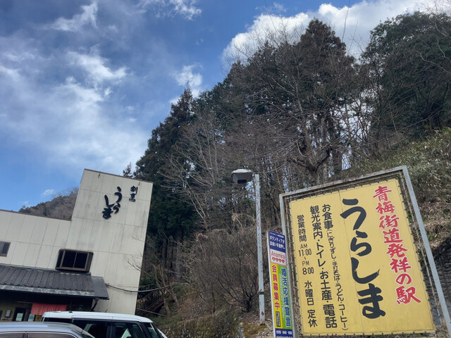 割烹うらしま的实拍高清图