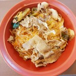すき家 36号苫小牧明野店的實拍圖