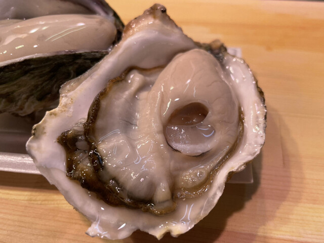 魚塚的實拍高清圖