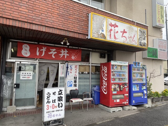 花ちゃん的实拍高清图