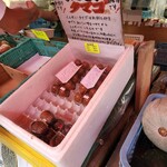 岡村果樹園的实拍图