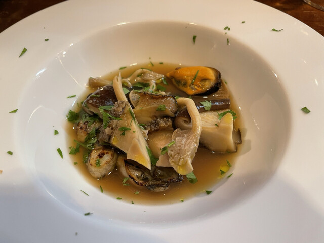 sacae的实拍高清图