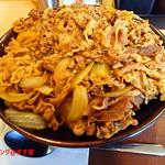 recommendations for すき家 成増店