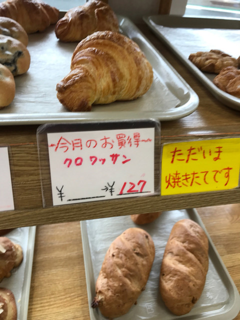 パンコウボウオオヌマ的实拍高清图