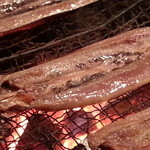 recommendations for ヤオチョウバー