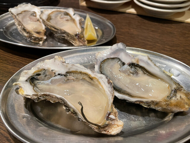 大厚岸的实拍高清图