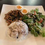 recommendations for Bista