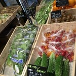 recommendations for サラダーマン