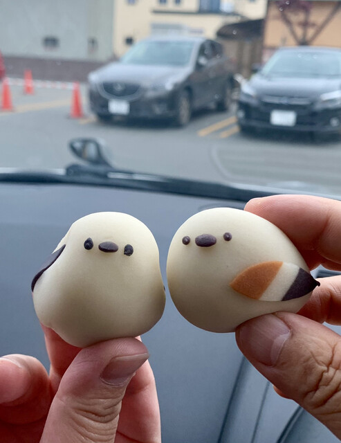 つくし牧田的实拍高清图