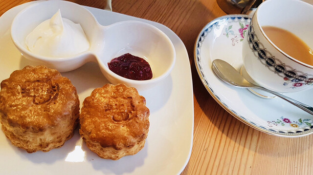 recommendations image for 紅茶専門店 Ｔｅａ Ｈｏｌｉｃ