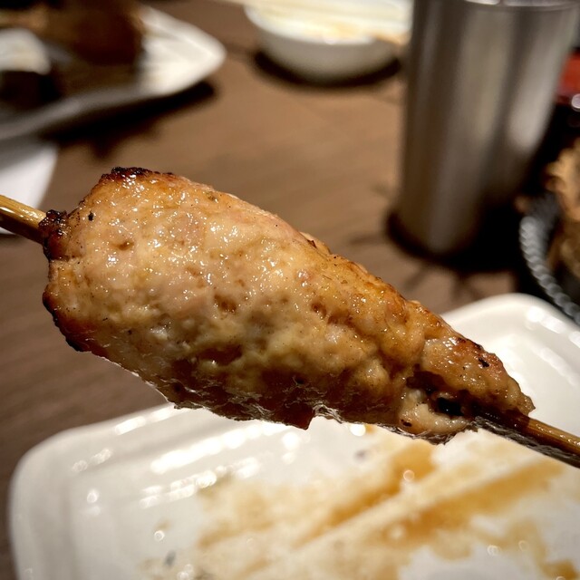あほう鳥的實拍高清圖