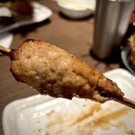 あほう鳥的實拍圖