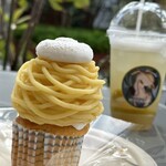 recommendations for モンブラン