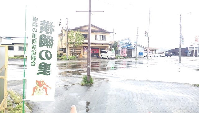 桜樹的实拍高清图