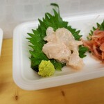 おさかな 魚四季的實拍圖