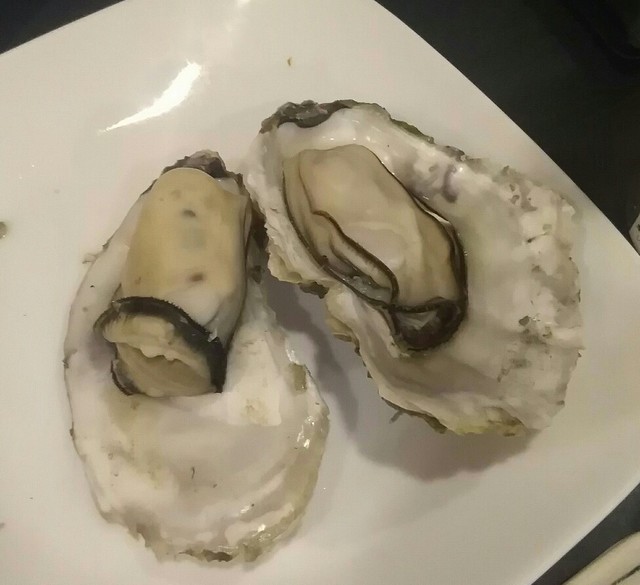 居酒屋こうた的實拍高清圖