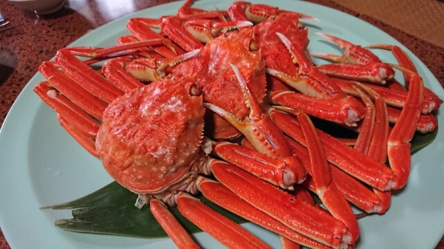 海月楼的实拍高清图