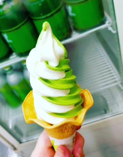 茶の君野園的實拍高清圖