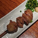 鶏鷹的實拍圖