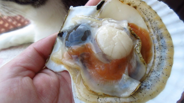 湧鮮館的实拍高清图