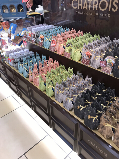 recommendations image for シャトロワ アトレ吉祥寺店