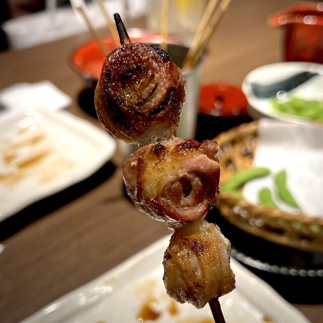 あほう鳥的實拍高清圖