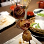 あほう鳥的實拍圖