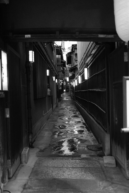 露瑚的實拍高清圖