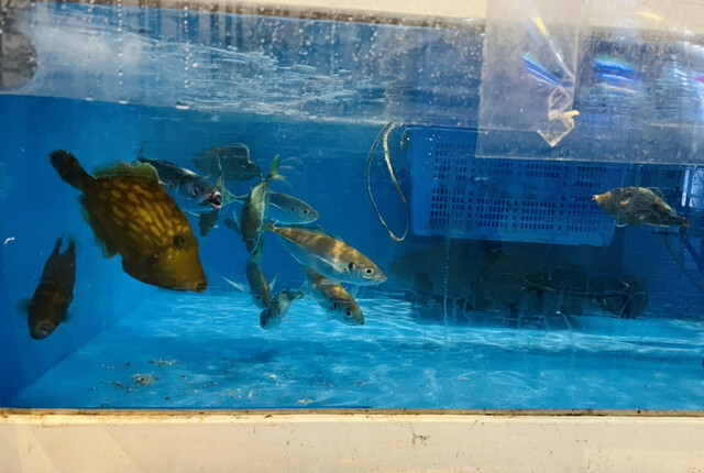 兼平鮮魚店 中洲川端店的实拍高清图