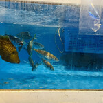 兼平鮮魚店 中洲川端店的实拍图