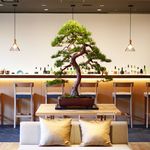 recommendations for カンラ・ラウンジ