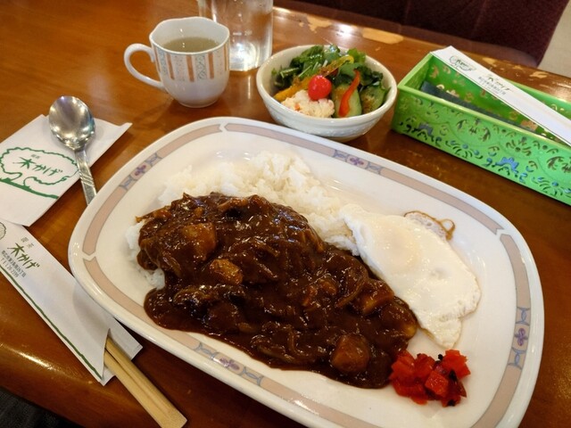 木かげ的实拍高清图