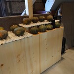 KULATUTA的实拍图