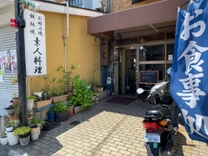 志津的实拍高清图