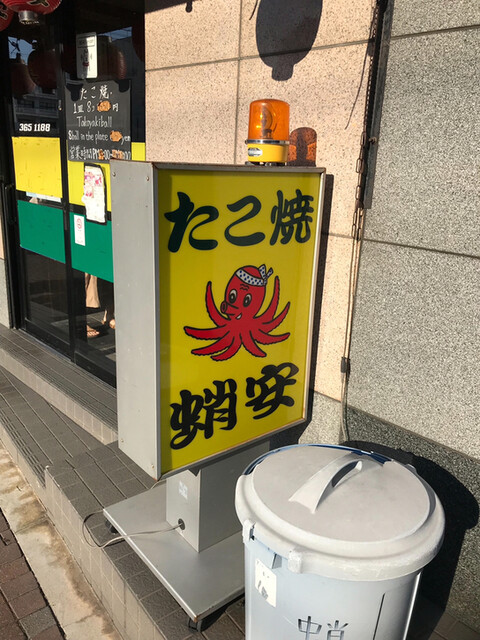 蛸安的实拍高清图