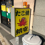 蛸安的实拍图