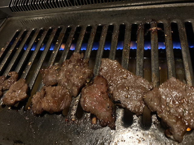 寿寿的實拍高清圖