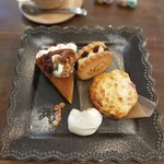 recommendations for tenteko