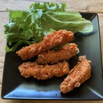 ニシオギ333的實拍圖