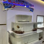 テジョンデ 鮮 サンナッチ館的實拍圖