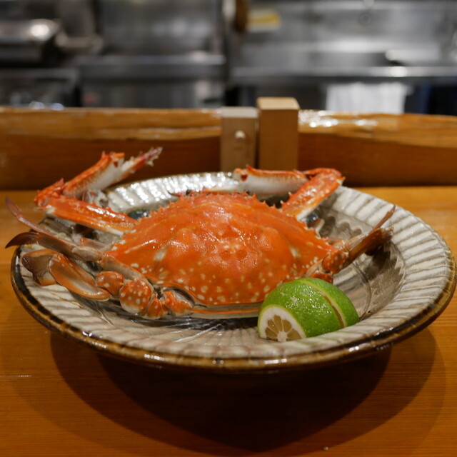 魚虎的实拍高清图