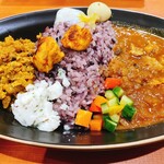 京都スパイスカレー KAAYA的实拍图