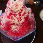 カナダ館的實拍圖