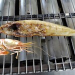 マルカイチ水産 海鮮炉端焼き的實拍圖