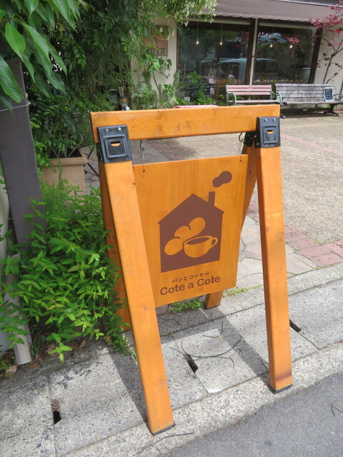 コティアコティ的实拍高清图
