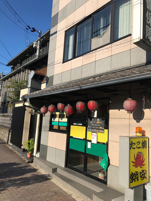 蛸安的实拍高清图