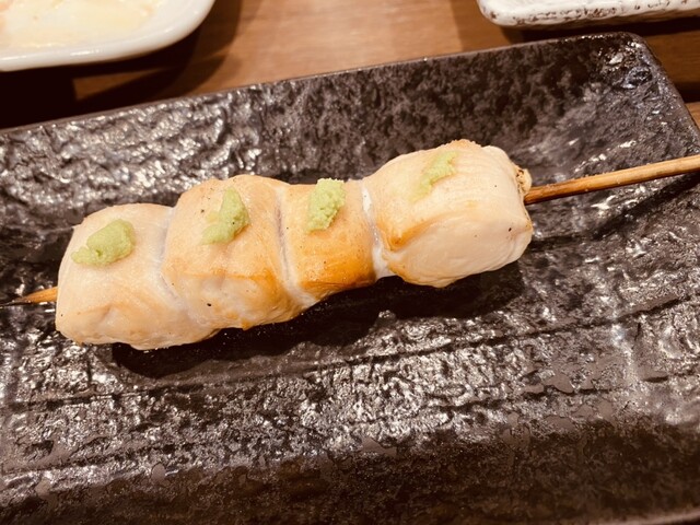 あほう鳥的實拍高清圖