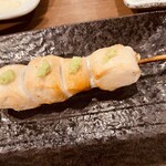 あほう鳥的實拍圖