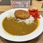 カレーショップ C＆C 新線新宿店的實拍圖