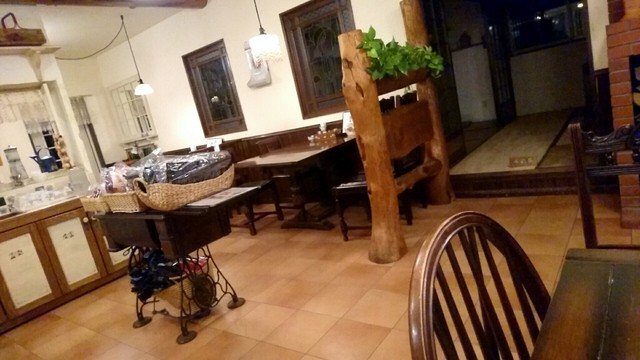 手風琴的實拍高清圖